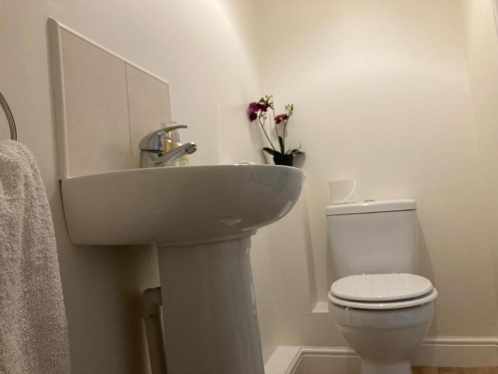 Cosy Home Near Hospital 卡莱尔 外观 照片